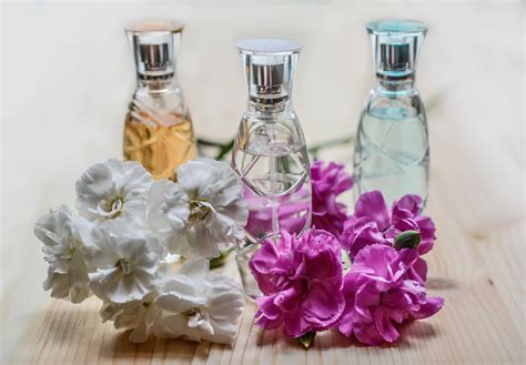 Creating Magical Moments: Using Aromatherapy to Elevate Everyday Experiences